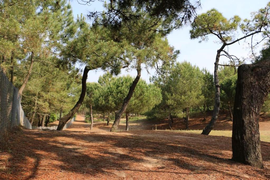 Vaimiti, Cabane Cosy Sous Les Pins Сен-Бревен-ле-Пен Екстер'єр фото